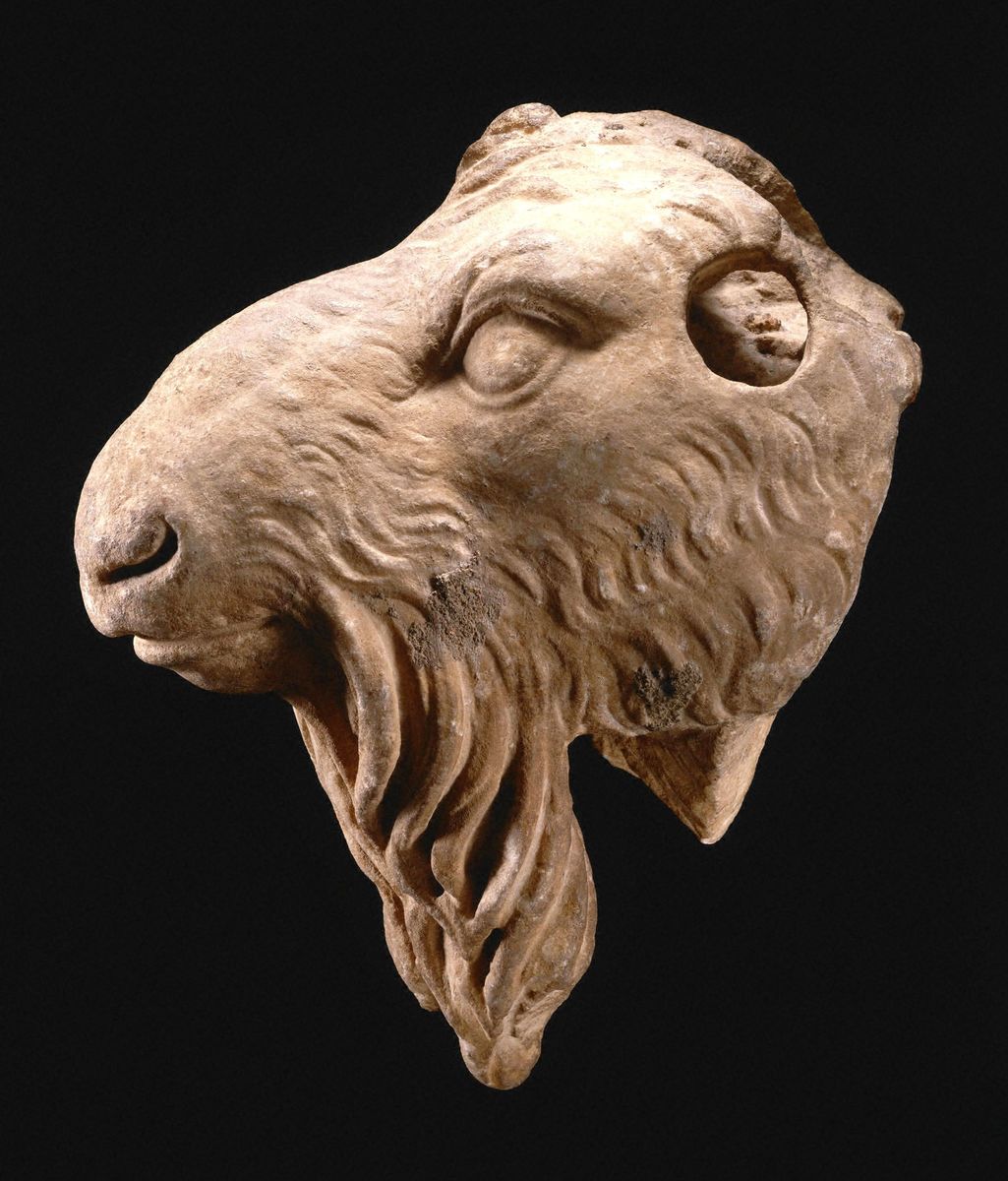Roman, Julio-Claudian, Head of a goat. Museum purchase, John Maclean Magie, Class of 1892, and Gertrude Magie Fund