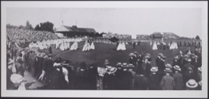 University’s annual “P-rade,” with classes marching at University Field before the celebrated Princeton-Yale baseball game. 