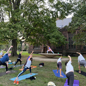 Group of people doing yoga move with trees surrounding them.
