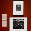Photographs by Dorothea Lange and Ansel Adams on view in the American galleries